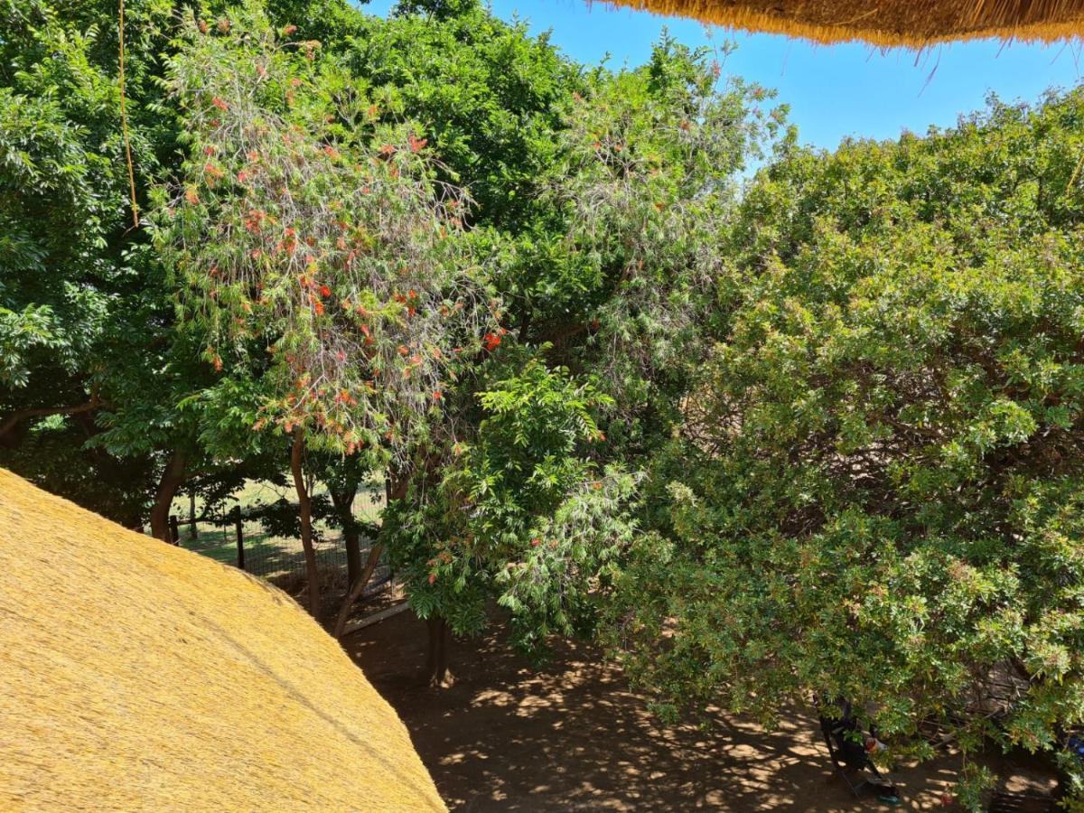 Khaya Africa Guesthouse Midrand Kültér fotó