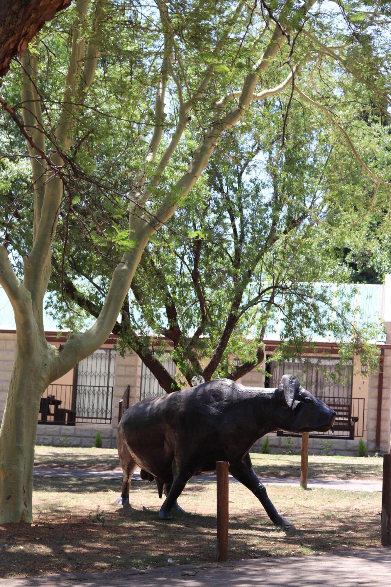 Khaya Africa Guesthouse Midrand Kültér fotó