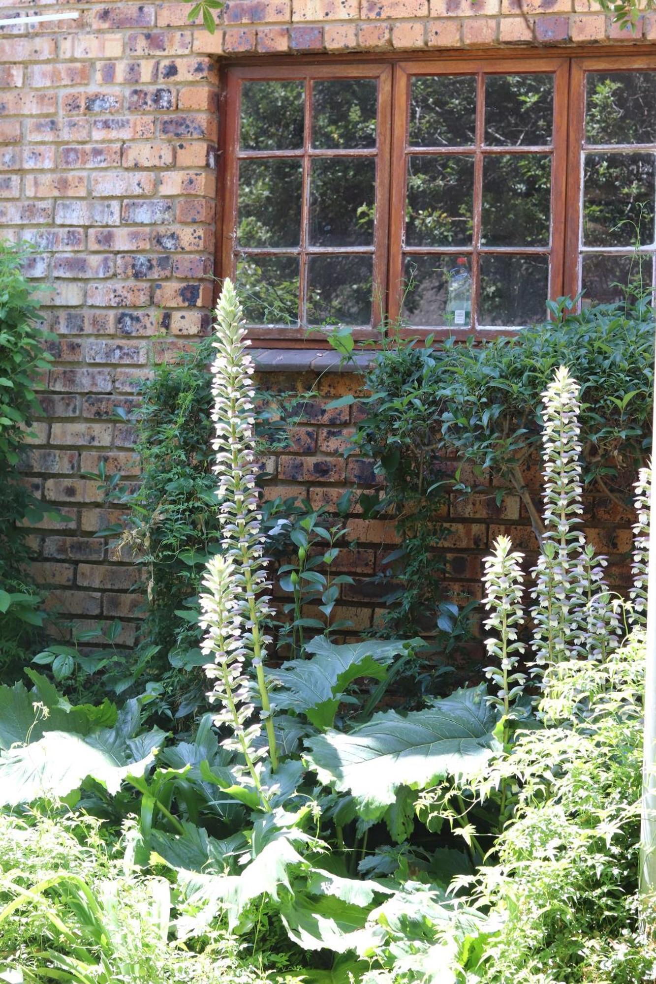Khaya Africa Guesthouse Midrand Kültér fotó