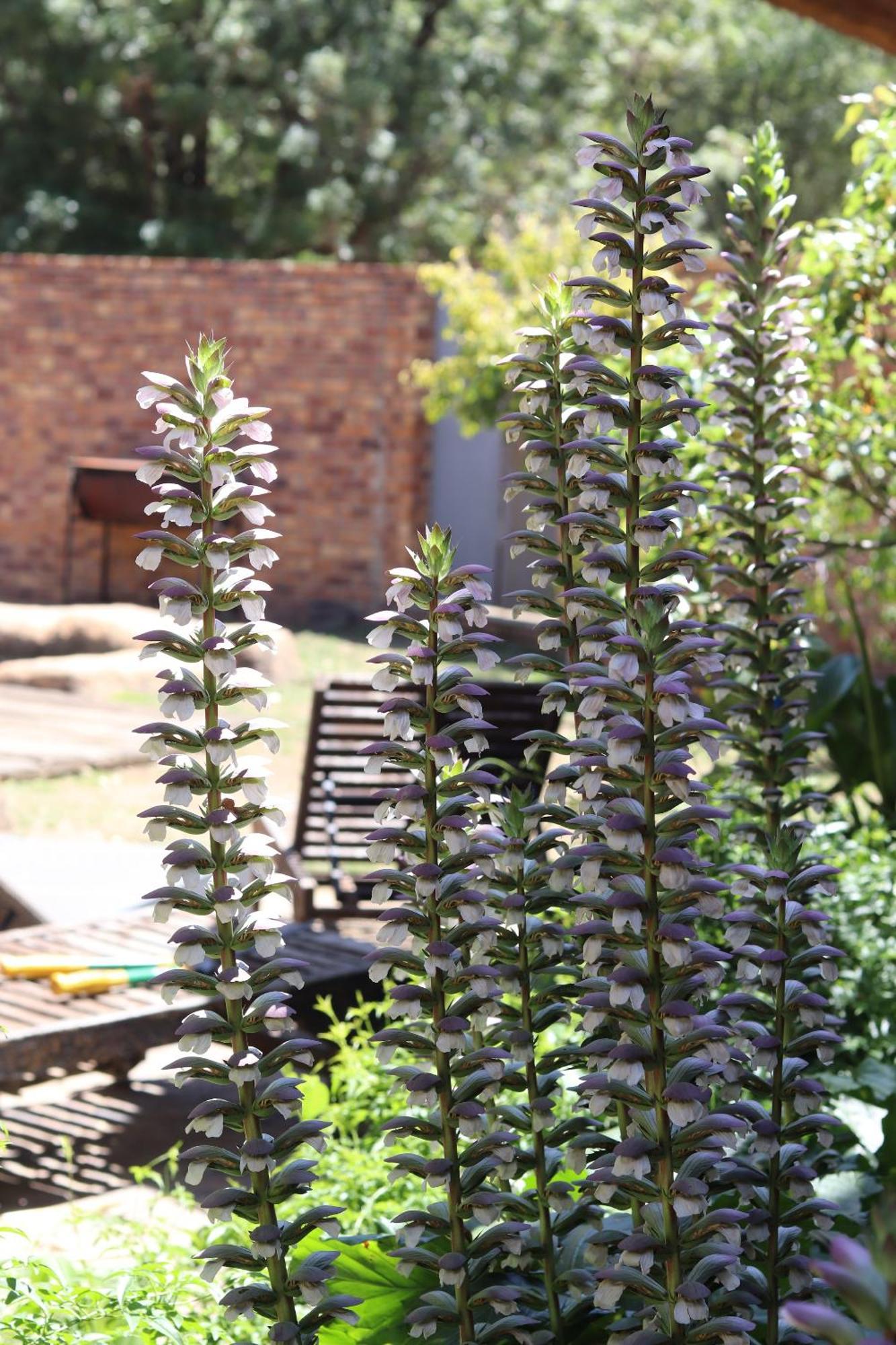 Khaya Africa Guesthouse Midrand Kültér fotó
