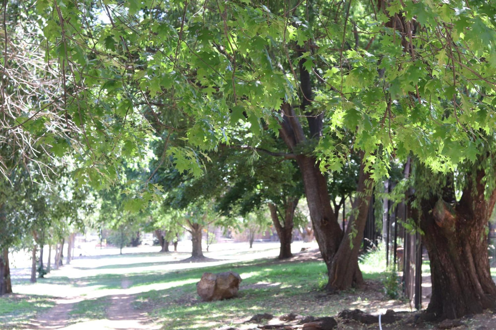 Khaya Africa Guesthouse Midrand Kültér fotó