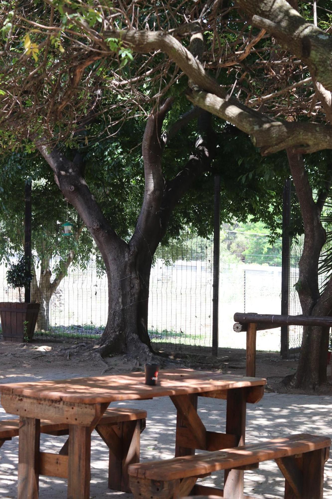 Khaya Africa Guesthouse Midrand Kültér fotó